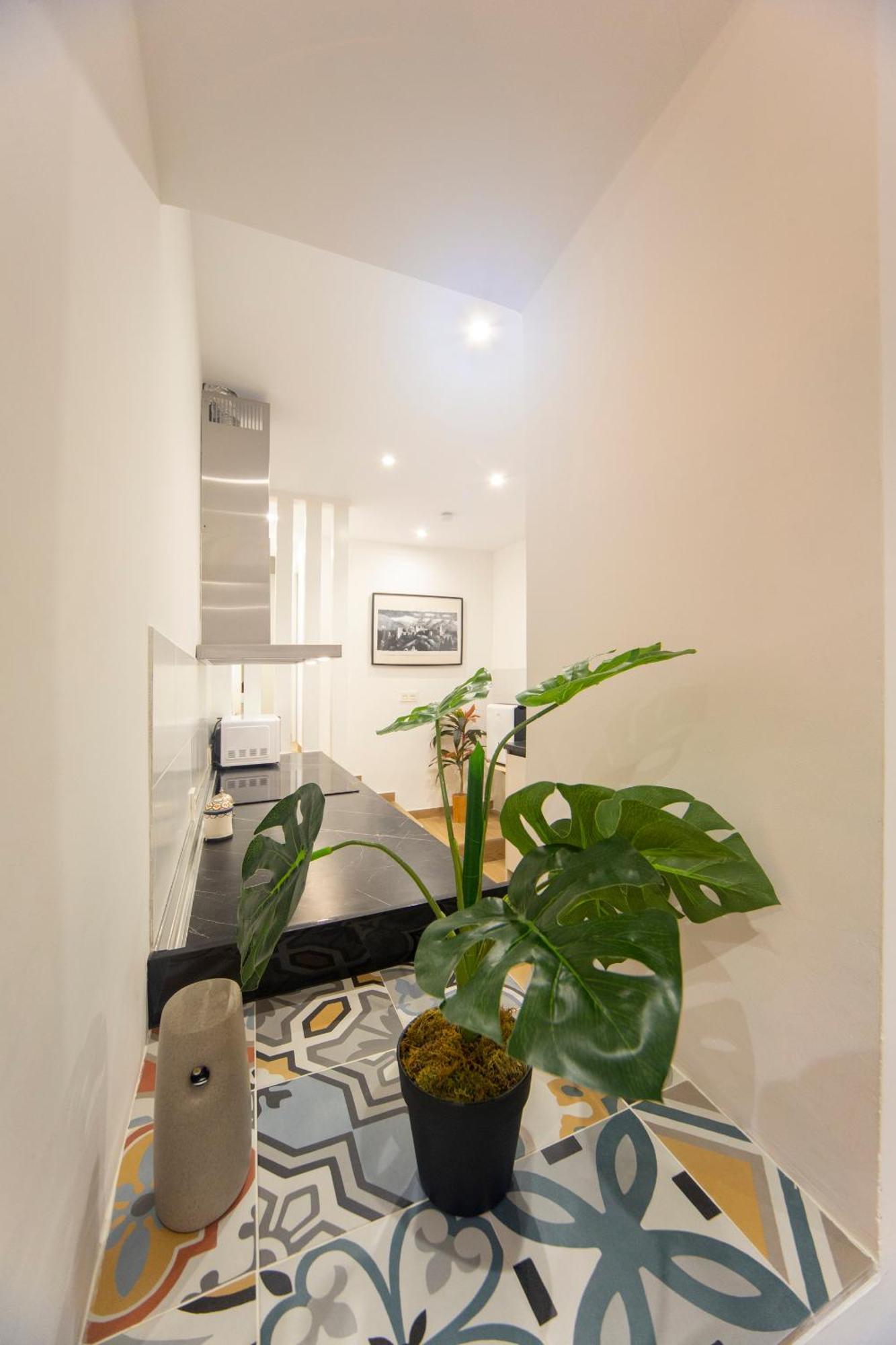 Apartamentos Indalo A Los Pies Del Albaicin 格拉纳达 外观 照片